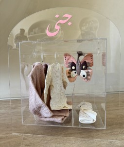 Acrylic Cabinet + Clothing - Butterfly