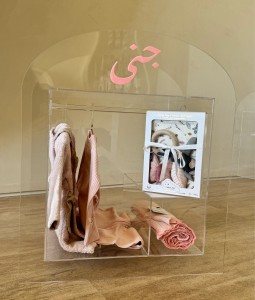 Acrylic Cabinet + Clothing - Pink Edition